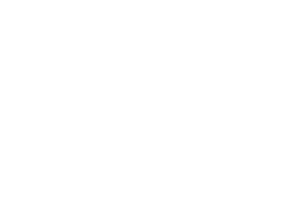 El Serafy Engineering LLC
